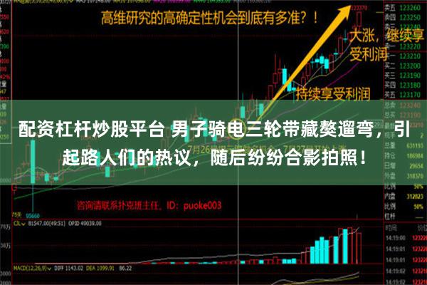 配资杠杆炒股平台 男子骑电三轮带藏獒遛弯，引起路人们的热议，随后纷纷合影拍照！