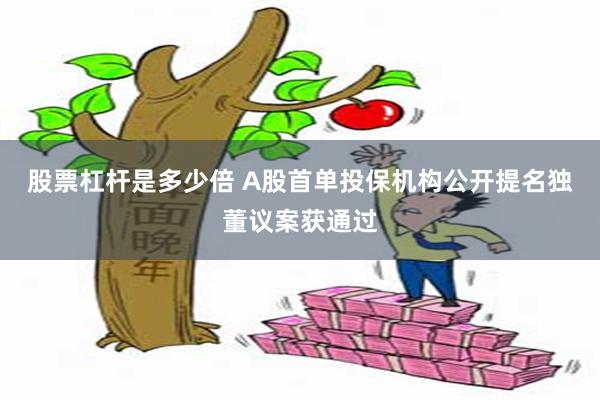 股票杠杆是多少倍 A股首单投保机构公开提名独董议案获通过