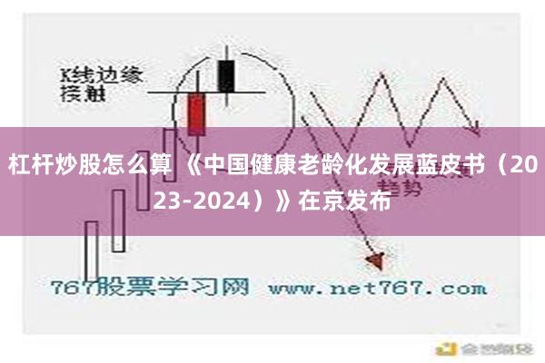 杠杆炒股怎么算 《中国健康老龄化发展蓝皮书（2023-2024）》在京发布