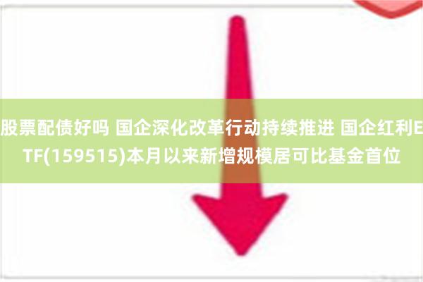 股票配债好吗 国企深化改革行动持续推进 国企红利ETF(159515)本月以来新增规模居可比基金首位