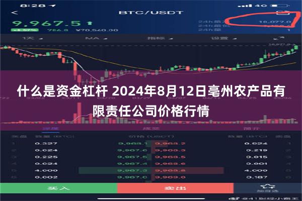 什么是资金杠杆 2024年8月12日亳州农产品有限责任公司价格行情