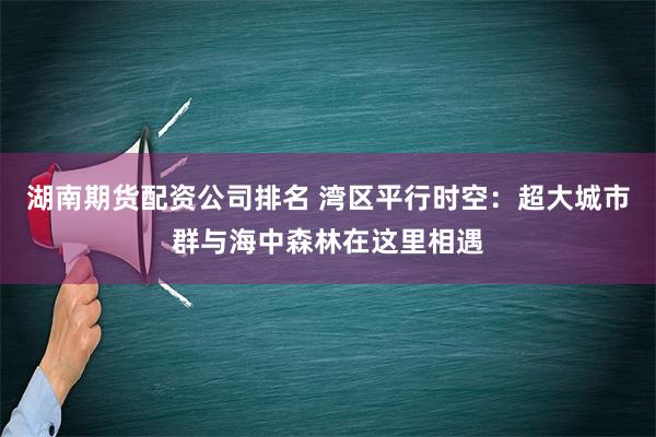 湖南期货配资公司排名 湾区平行时空：超大城市群与海中森林在这里相遇