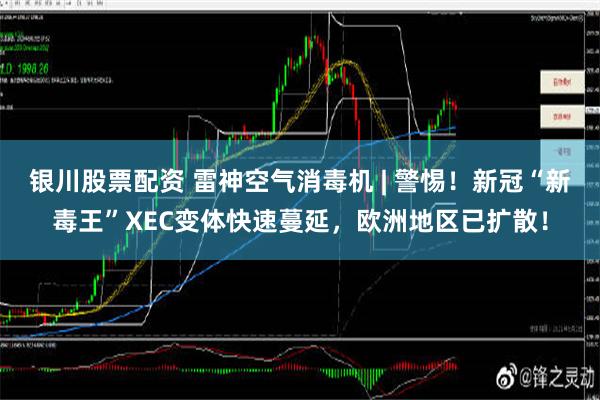 银川股票配资 雷神空气消毒机 | 警惕！新冠“新毒王”XEC变体快速蔓延，欧洲地区已扩散！