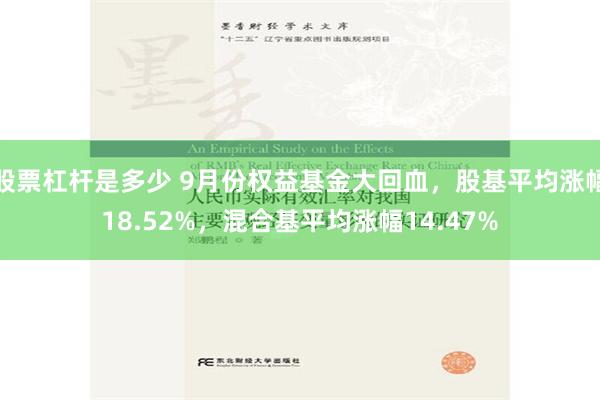 股票杠杆是多少 9月份权益基金大回血，股基平均涨幅18.52%，混合基平均涨幅14.47%