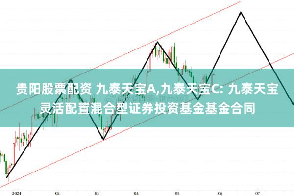 贵阳股票配资 九泰天宝A,九泰天宝C: 九泰天宝灵活配置混合型证券投资基金基金合同