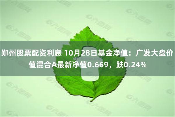 郑州股票配资利息 10月28日基金净值：广发大盘价值混合A最新净值0.669，跌0.24%