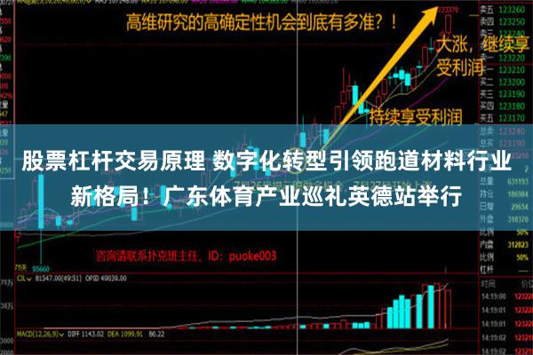 股票杠杆交易原理 数字化转型引领跑道材料行业新格局！广东体育产业巡礼英德站举行