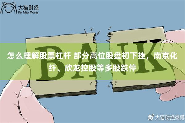 怎么理解股票杠杆 部分高位股盘初下挫，南京化纤、欣龙控股等多股跌停